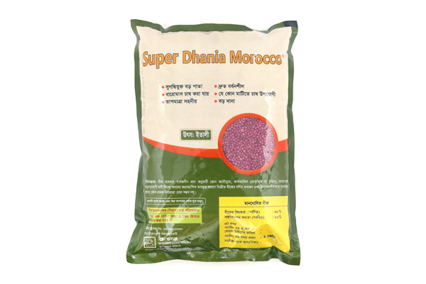 Super Dhania Morocco